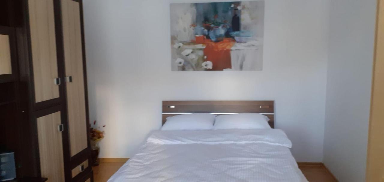 Urban Chic Apartment Orăştie المظهر الخارجي الصورة