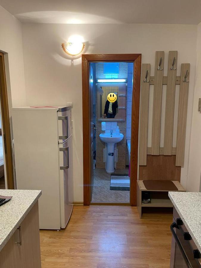 Urban Chic Apartment Orăştie المظهر الخارجي الصورة